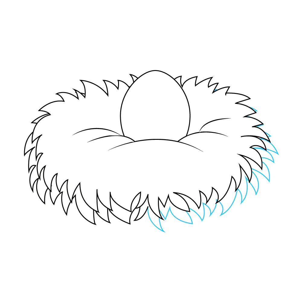 How to Draw A Bird Nest Step by Step Step  9