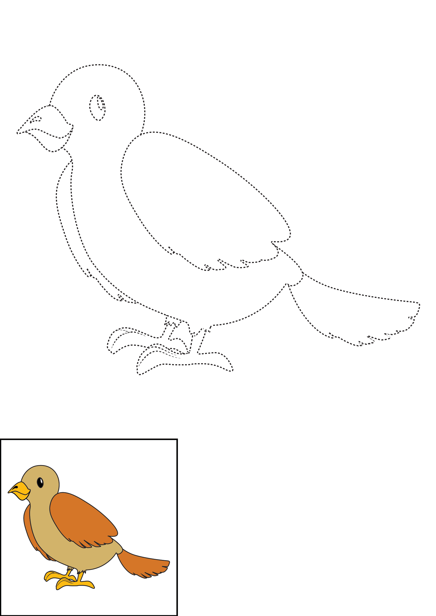 How to Draw A Bird Step by Step Printable Dotted