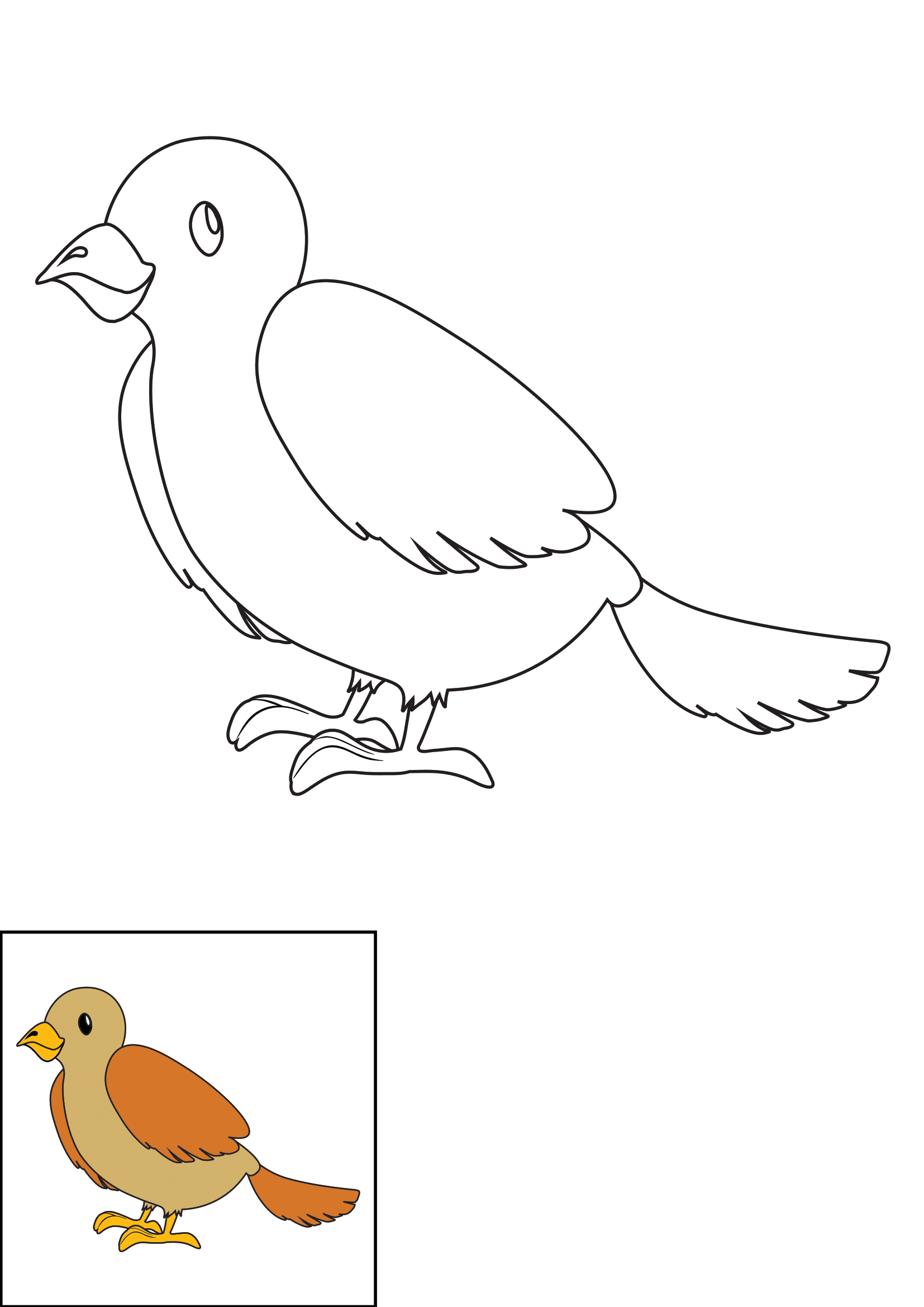 How to Draw A Bird Step by Step Printable Color