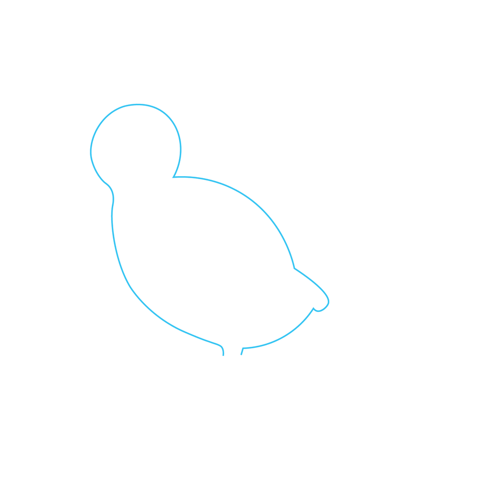 How to Draw A Bird Step by Step Step  1