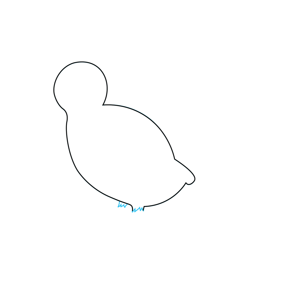 How to Draw A Bird Step by Step Step  2