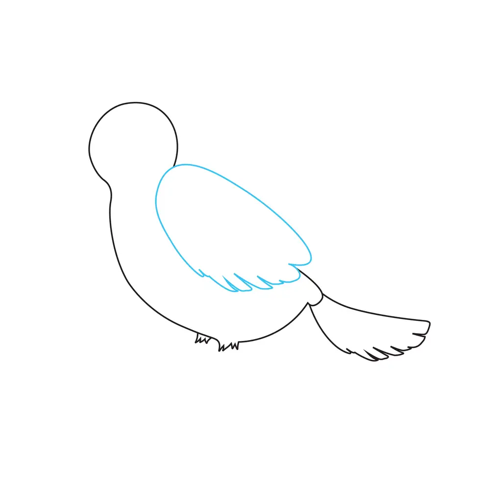 How to Draw A Bird Step by Step Step  4