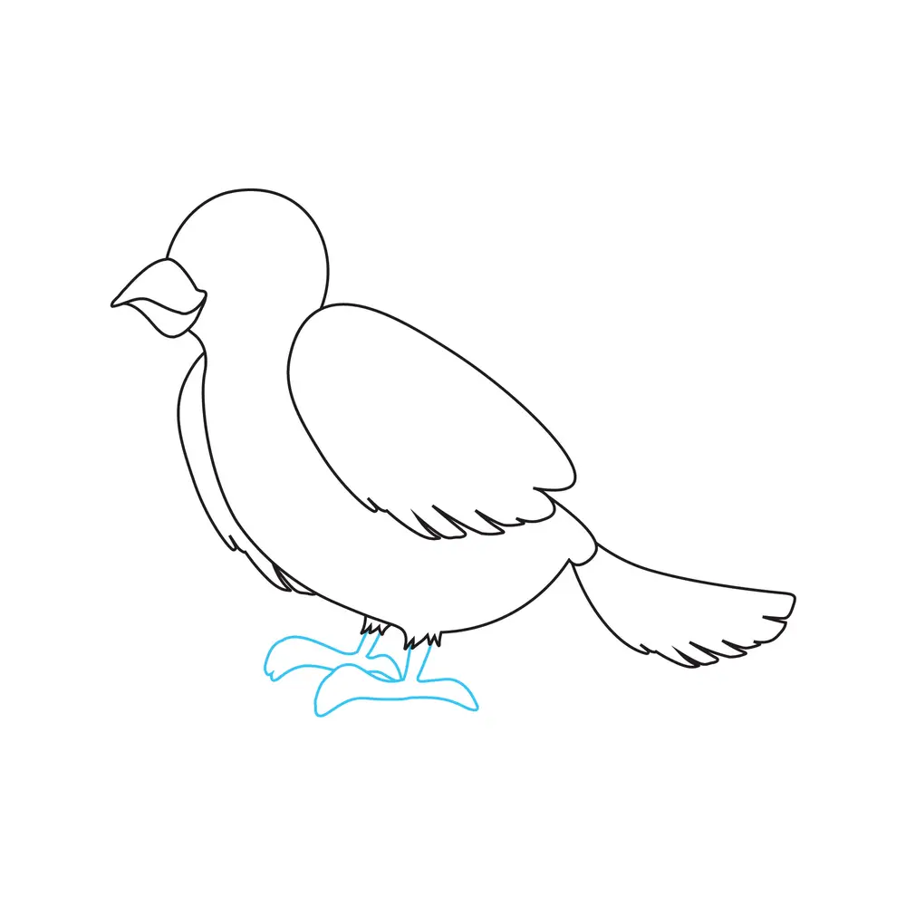 How to Draw A Bird Step by Step Step  6