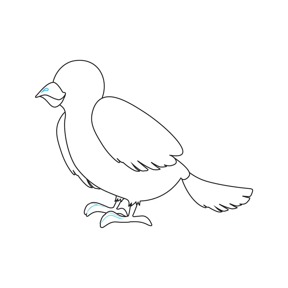 How to Draw A Bird Step by Step Step  7