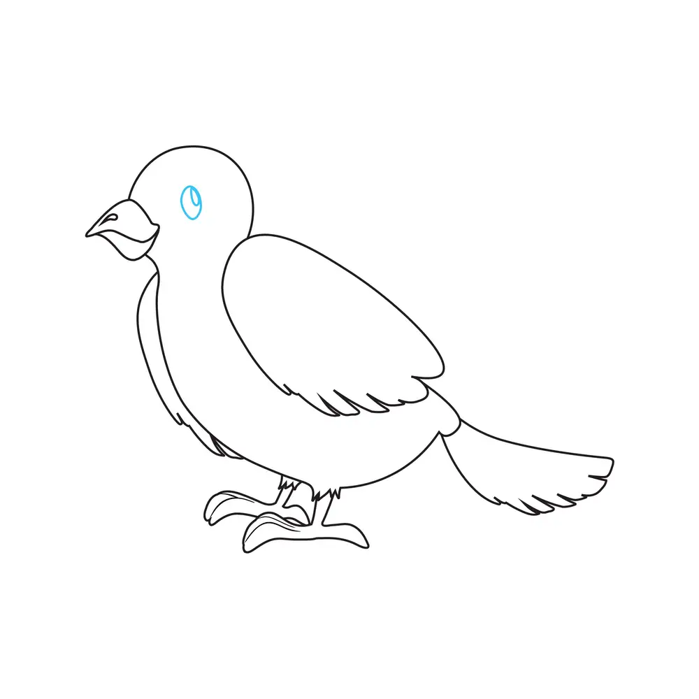 How to Draw A Bird Step by Step Step  8