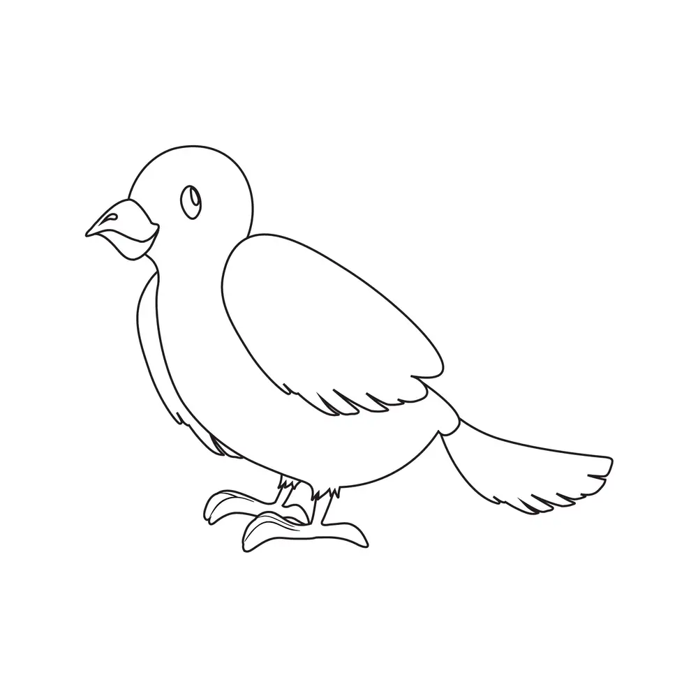How to Draw A Bird Step by Step Step  9