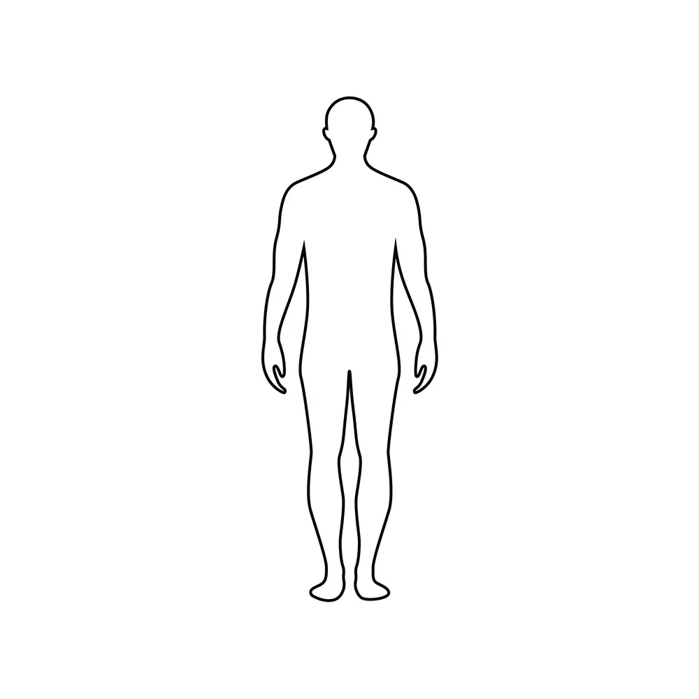 How to Draw A Body Outline Step by Step Step  7