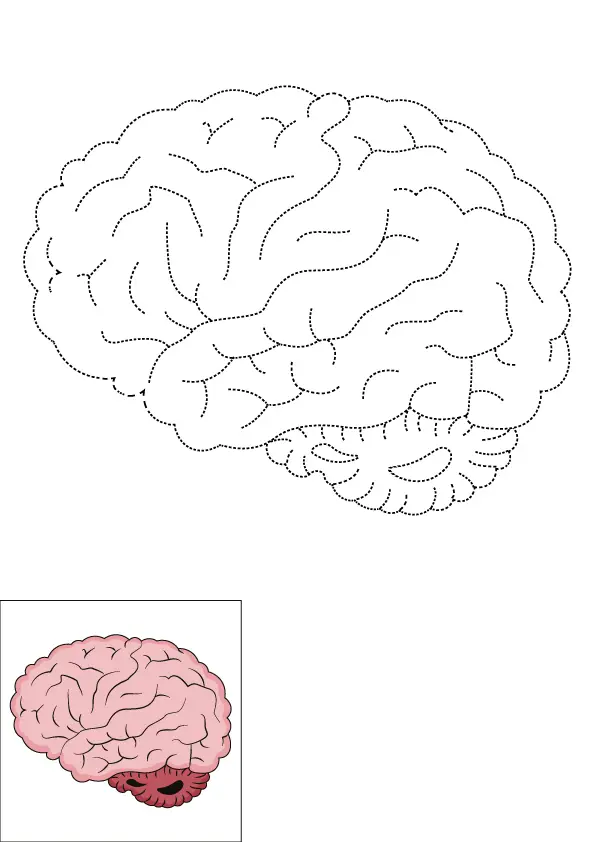 How to Draw A Brain Step by Step Printable Dotted