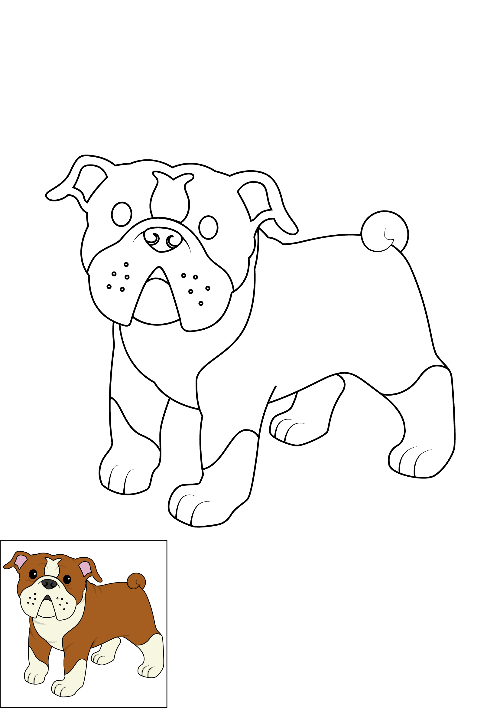 How to Draw A Bulldog Step by Step Printable Color