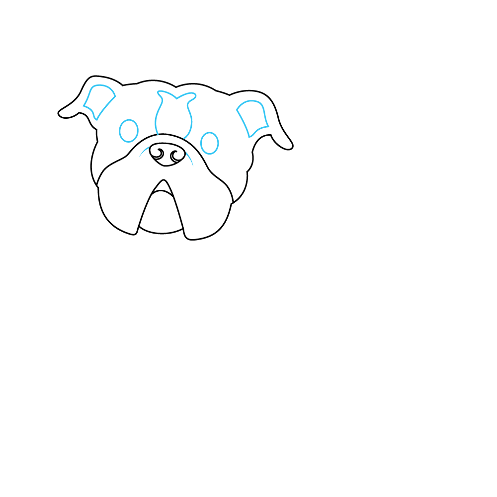 How to Draw A Bulldog Step by Step Step  4