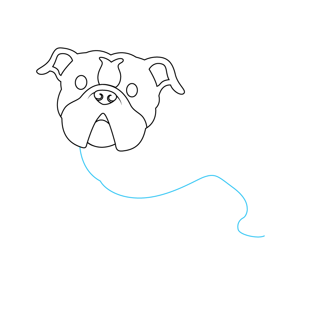 How to Draw A Bulldog Step by Step Step  5