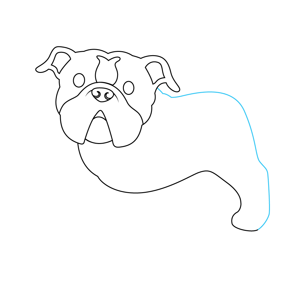 How to Draw A Bulldog Step by Step Step  6