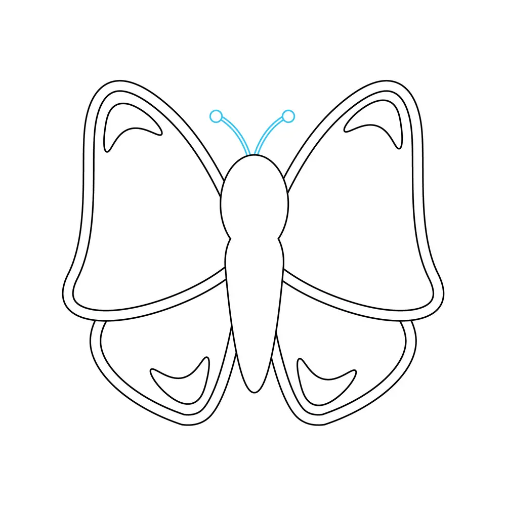 How to Draw A Butterfly Step by Step Step  5