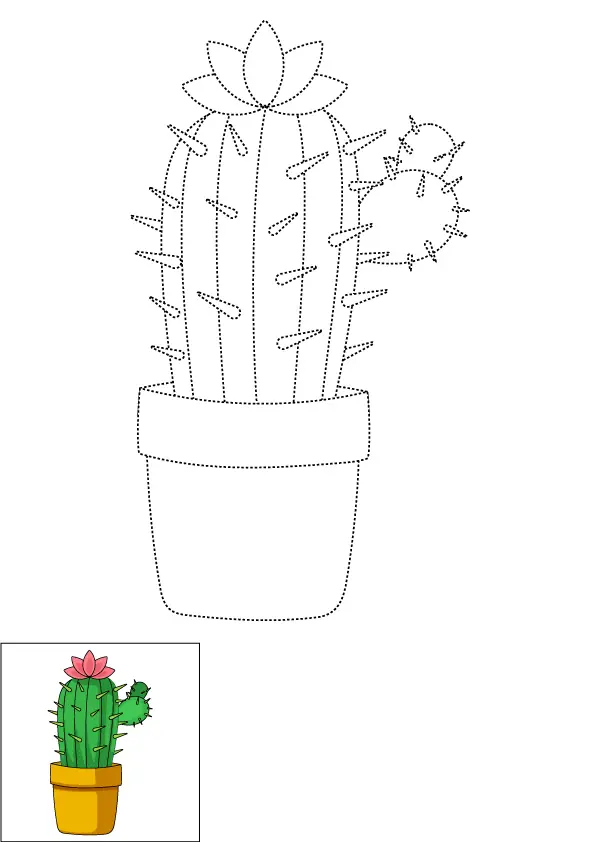 How to Draw A Cactus Flower Step by Step Printable Dotted