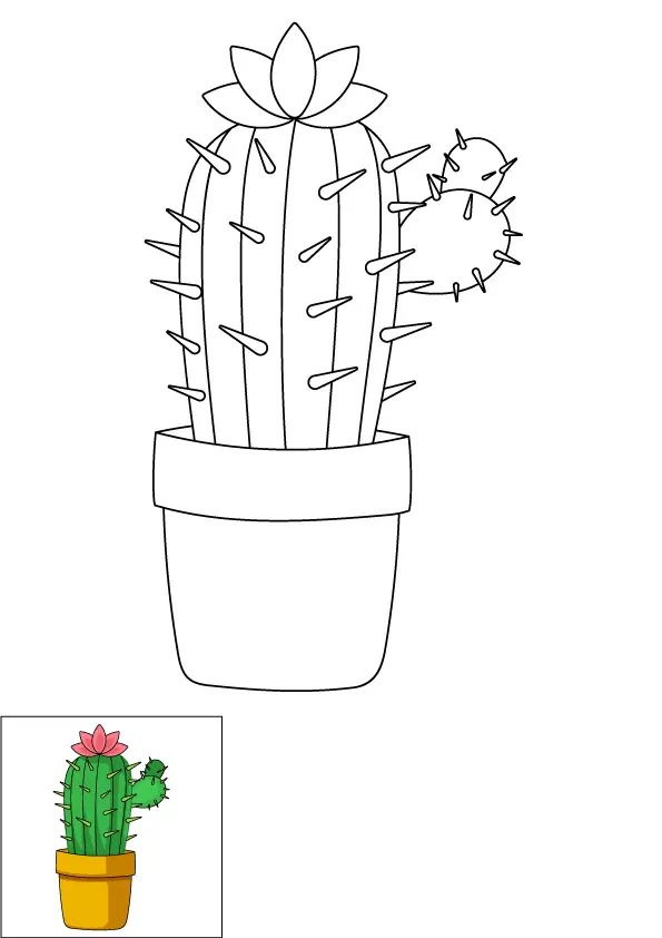 How to Draw A Cactus Flower Step by Step Printable Color