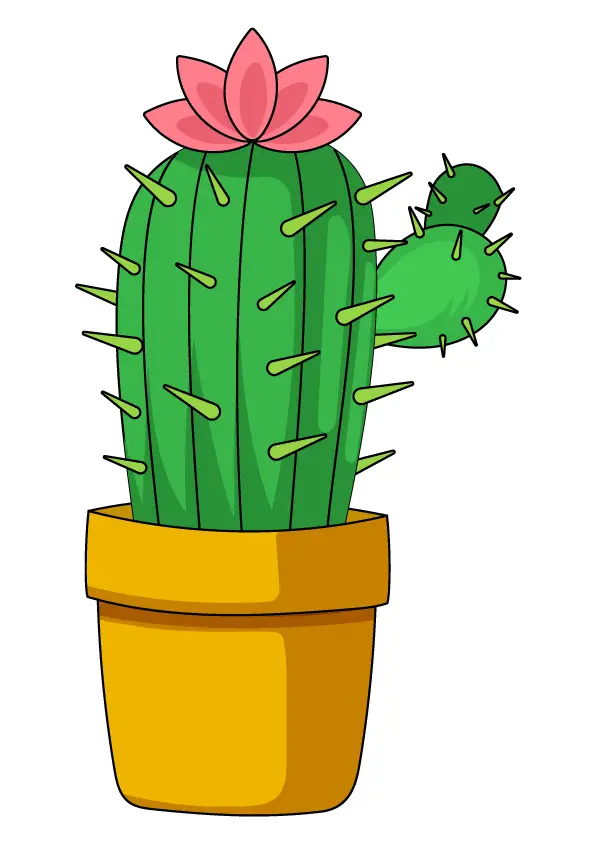 How to Draw A Cactus Flower Step by Step Printable