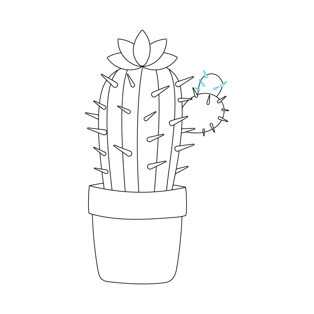 How to Draw A Cactus Flower Step by Step Step  10