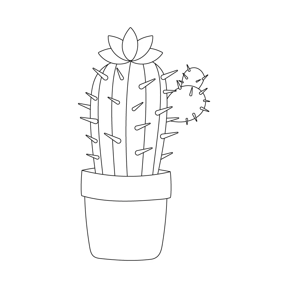 How to Draw A Cactus Flower Step by Step Step  11