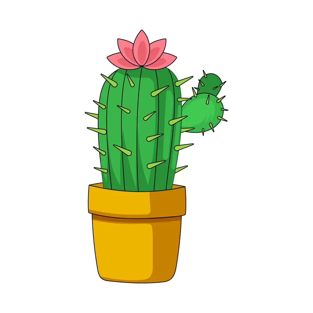 How to Draw A Cactus Flower Step by Step Step  12