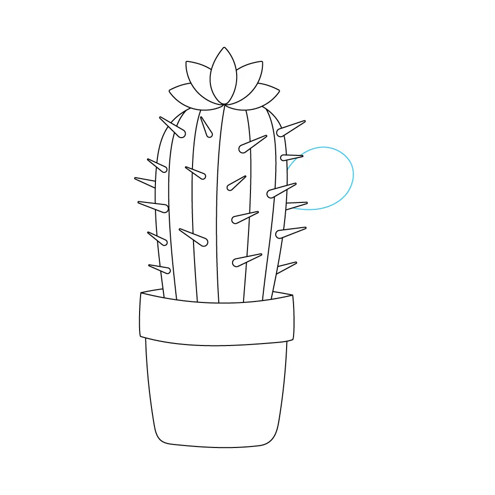 How to Draw A Cactus Flower Step by Step Step  7
