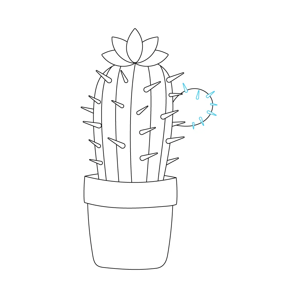 How to Draw A Cactus Flower Step by Step Step  8