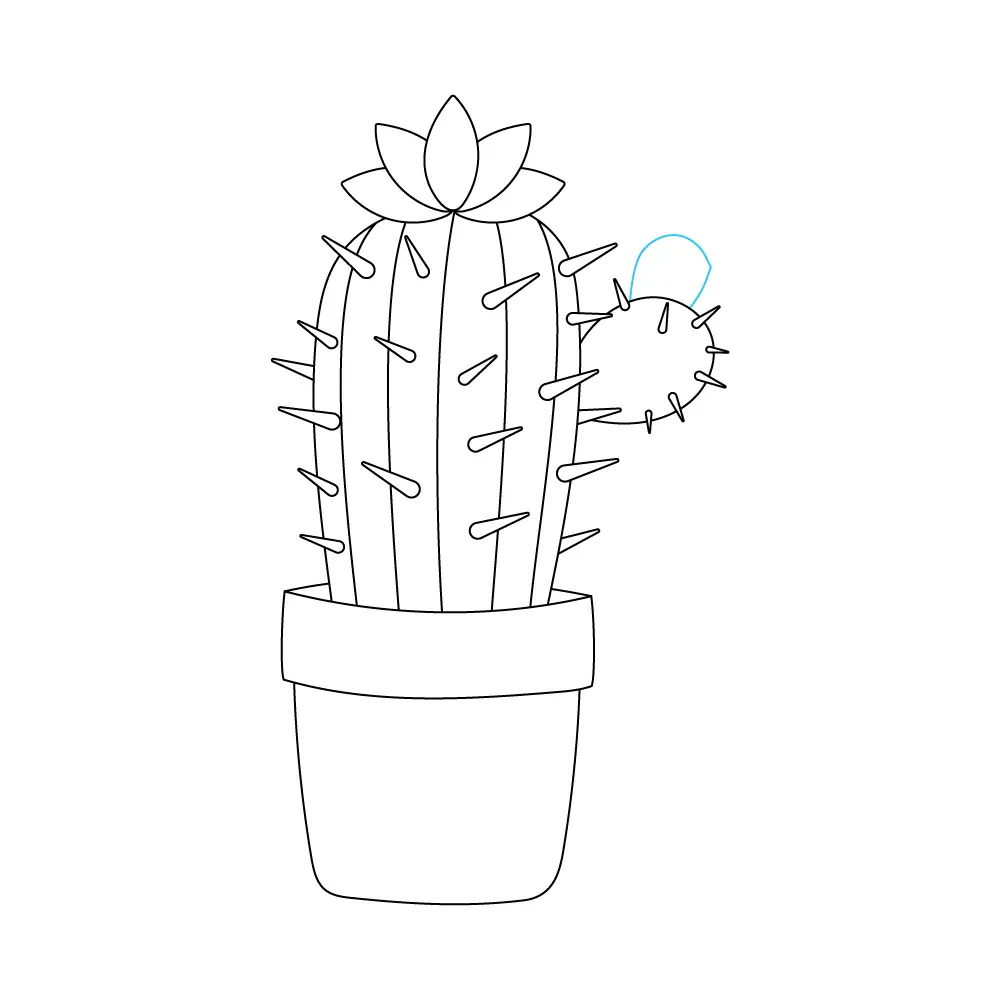 How to Draw A Cactus Flower Step by Step Step  9