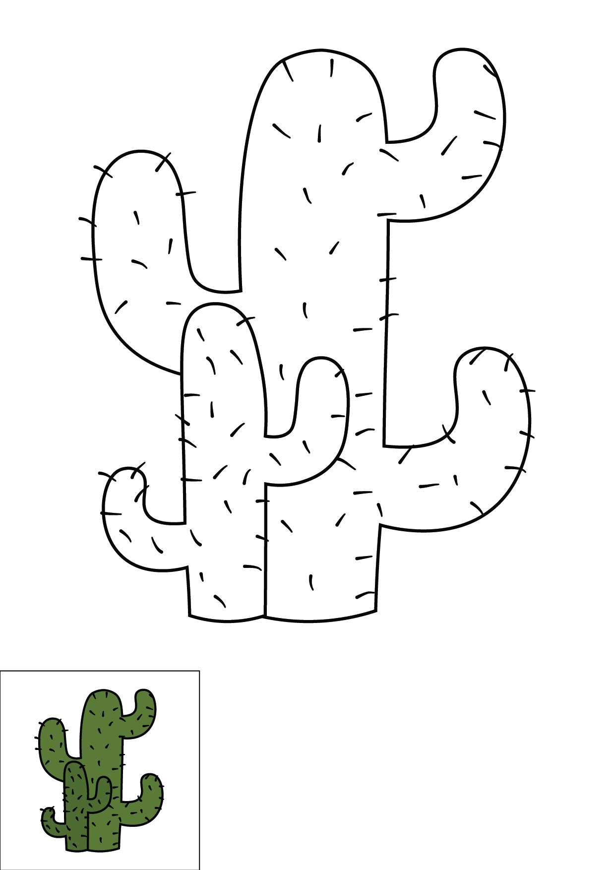 How to Draw A Cactus Step by Step Printable Color