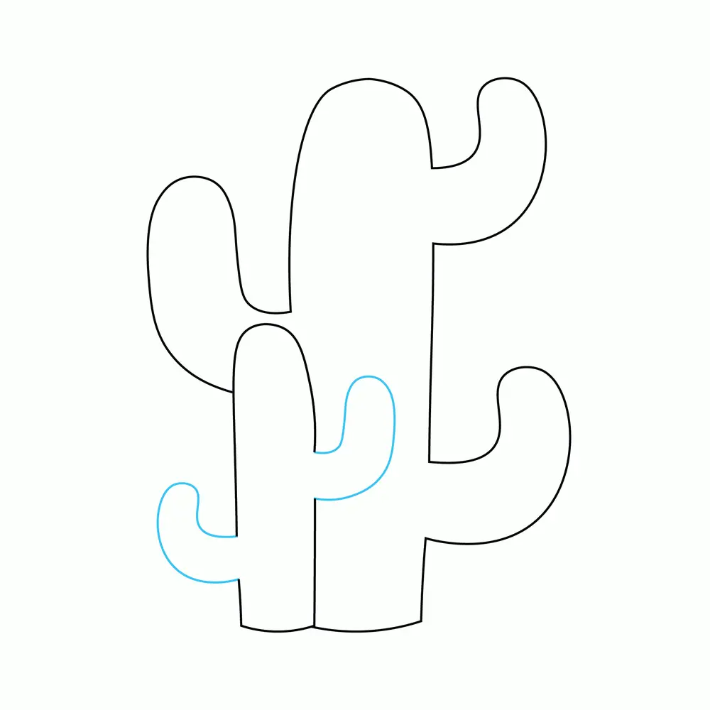 How to Draw A Cactus Step by Step Step  4