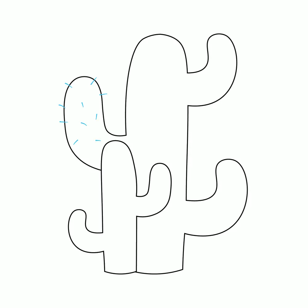 How to Draw A Cactus Step by Step Step  5