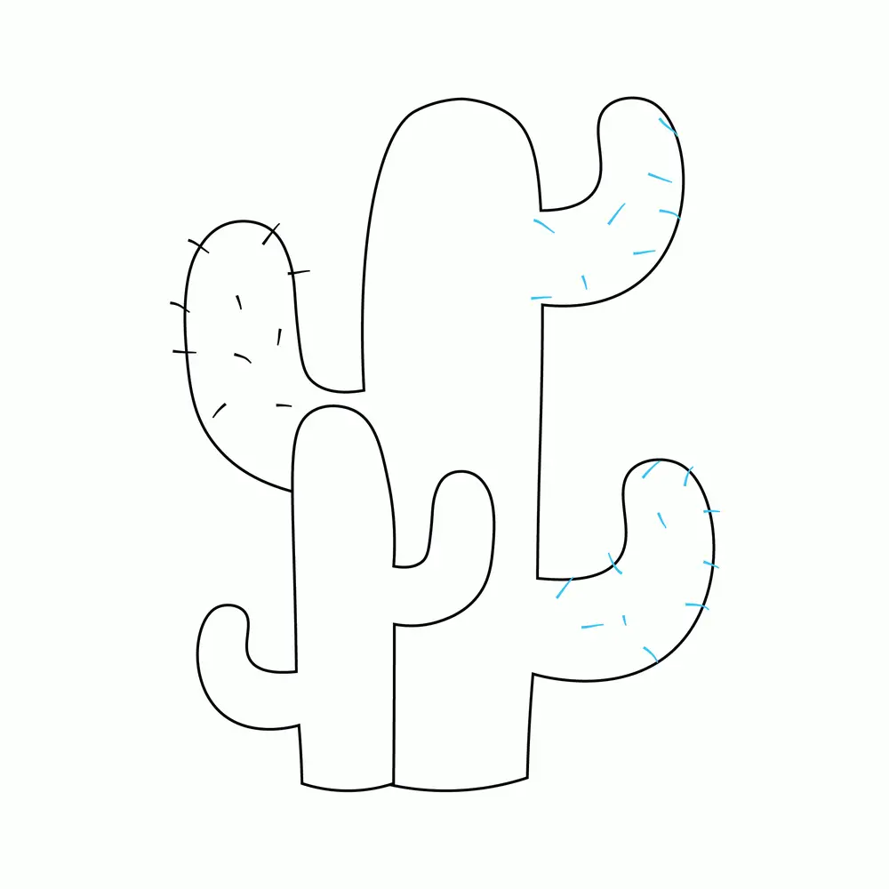How to Draw A Cactus Step by Step Step  6