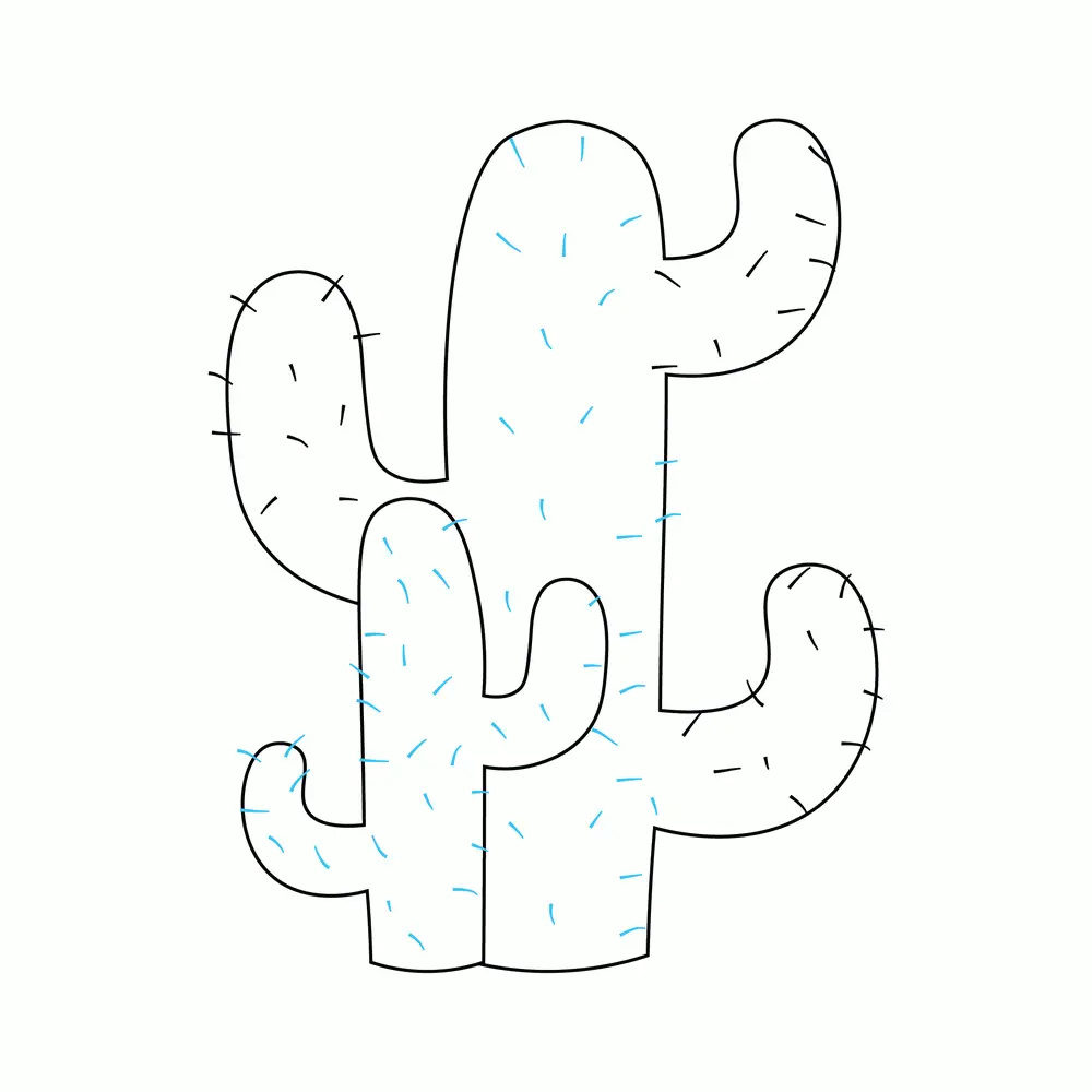 How to Draw A Cactus Step by Step Step  7