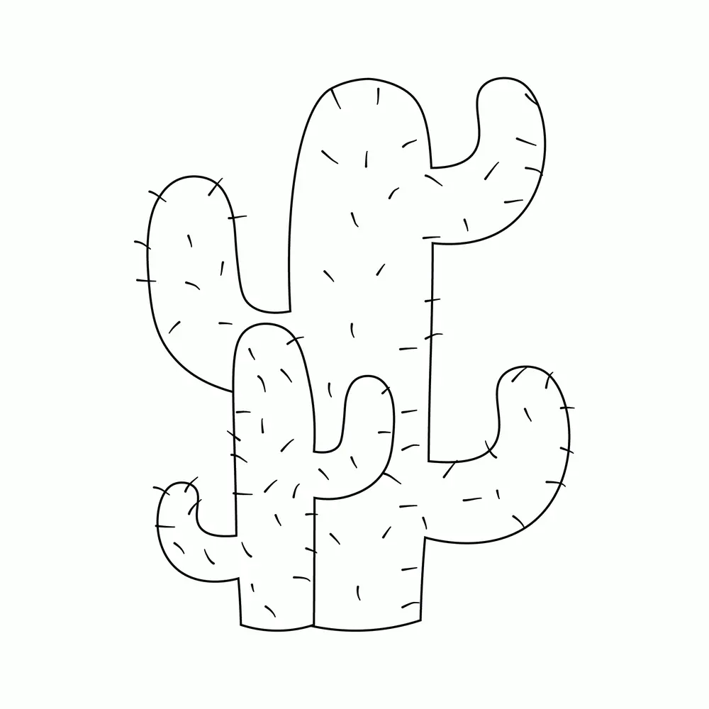 How to Draw A Cactus Step by Step Step  8