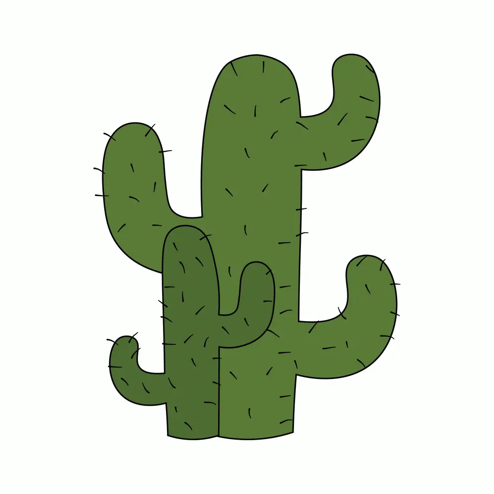 How to Draw A Cactus Step by Step Step  9