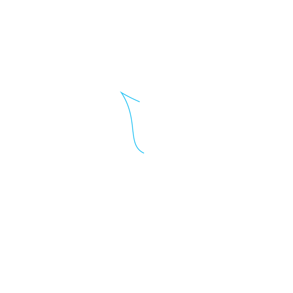 How to Draw A Calla Lily Step by Step Step  1