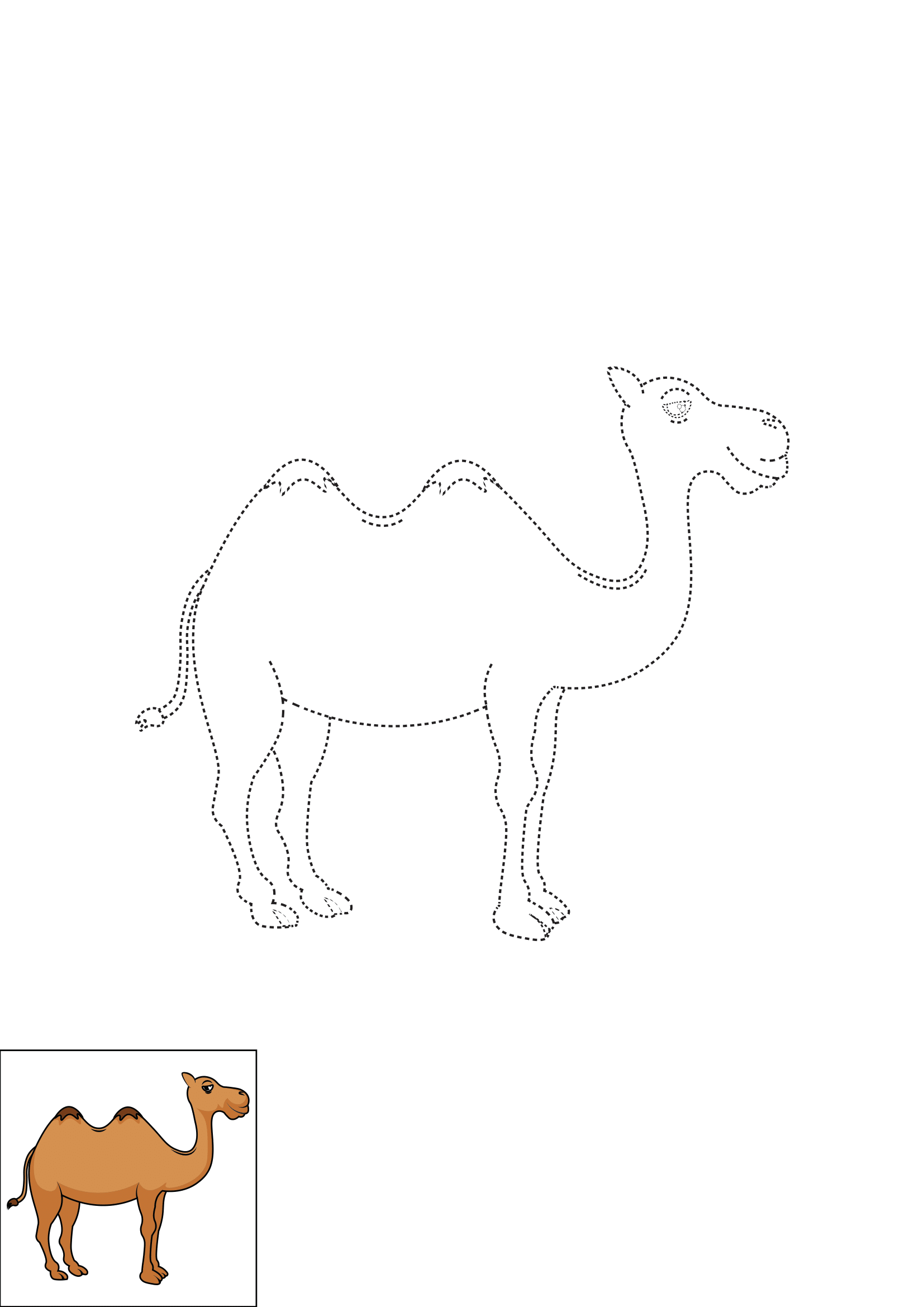 How to Draw A Camel Step by Step Printable Dotted