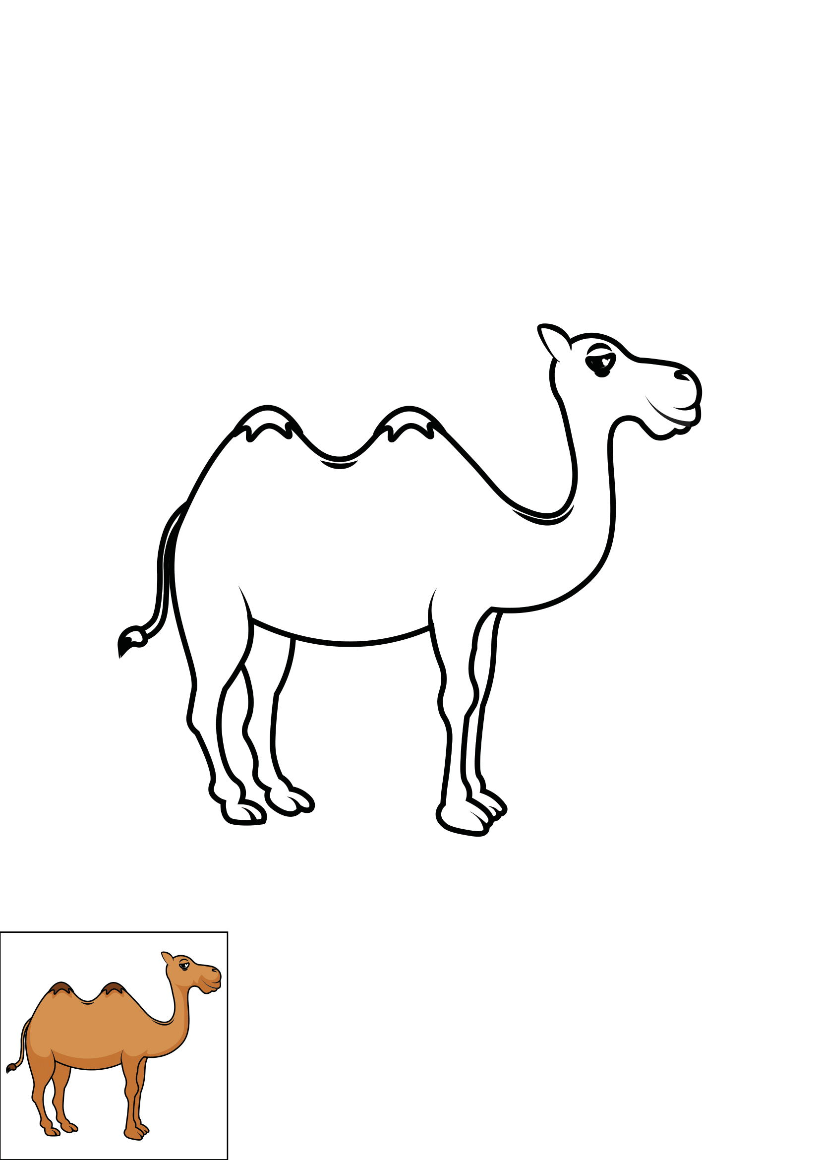 How to Draw A Camel Step by Step Printable Color