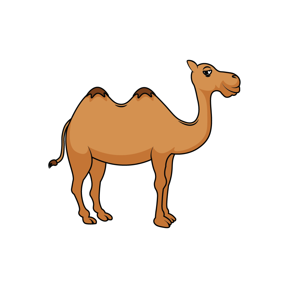 How to Draw A Camel Step by Step Thumbnail