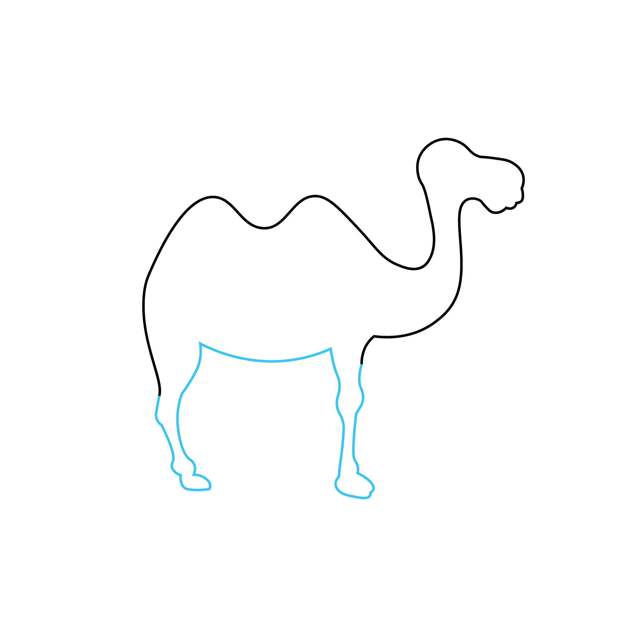 How to Draw A Camel Step by Step Step  3