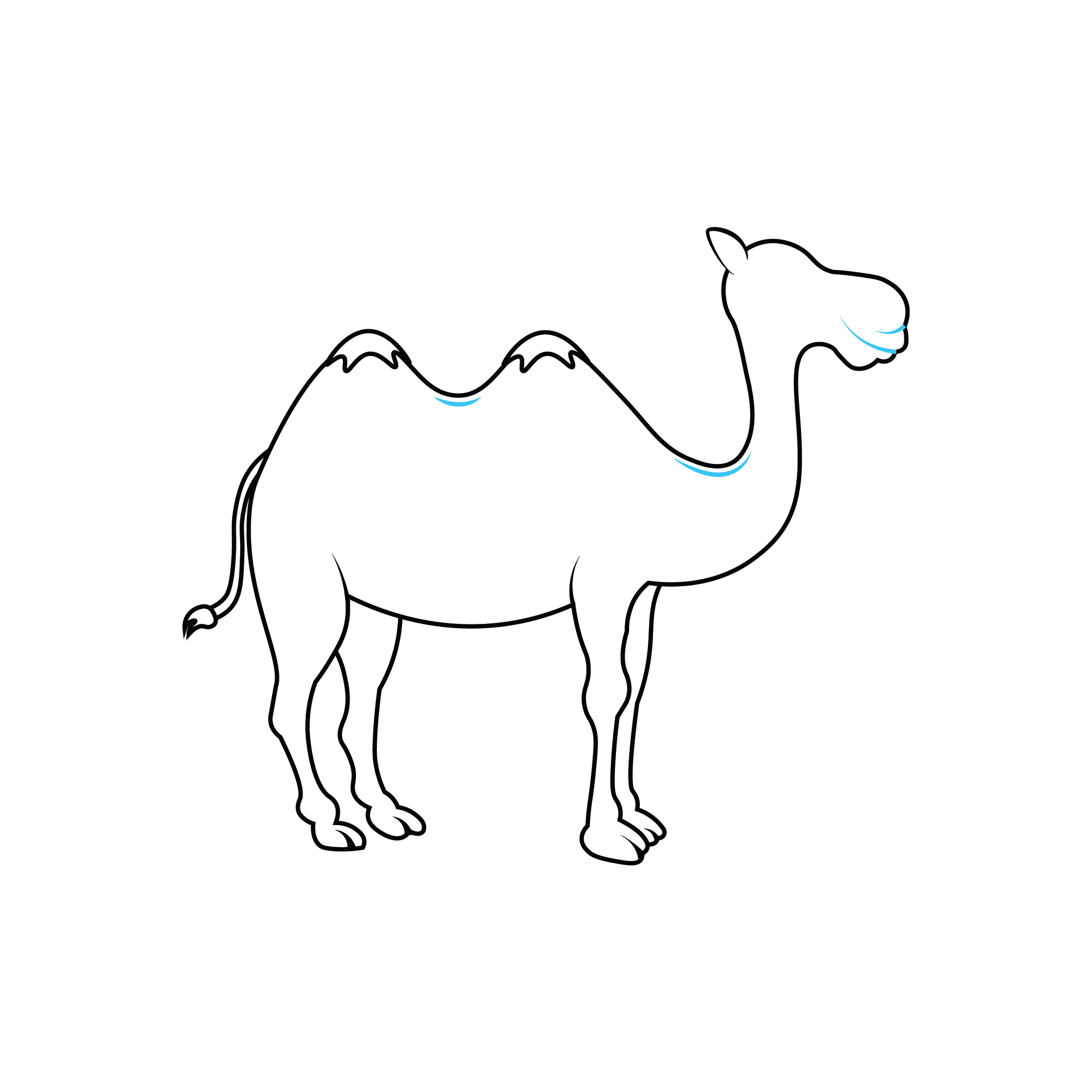 How to Draw A Camel Step by Step Step  6