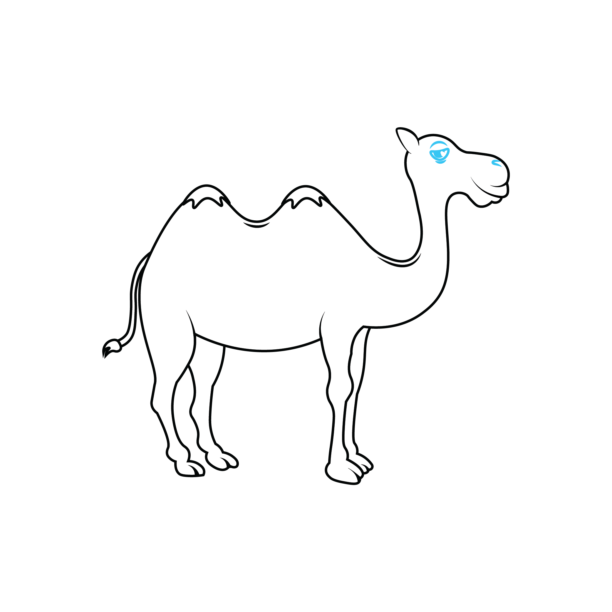 How to Draw A Camel Step by Step Step  7