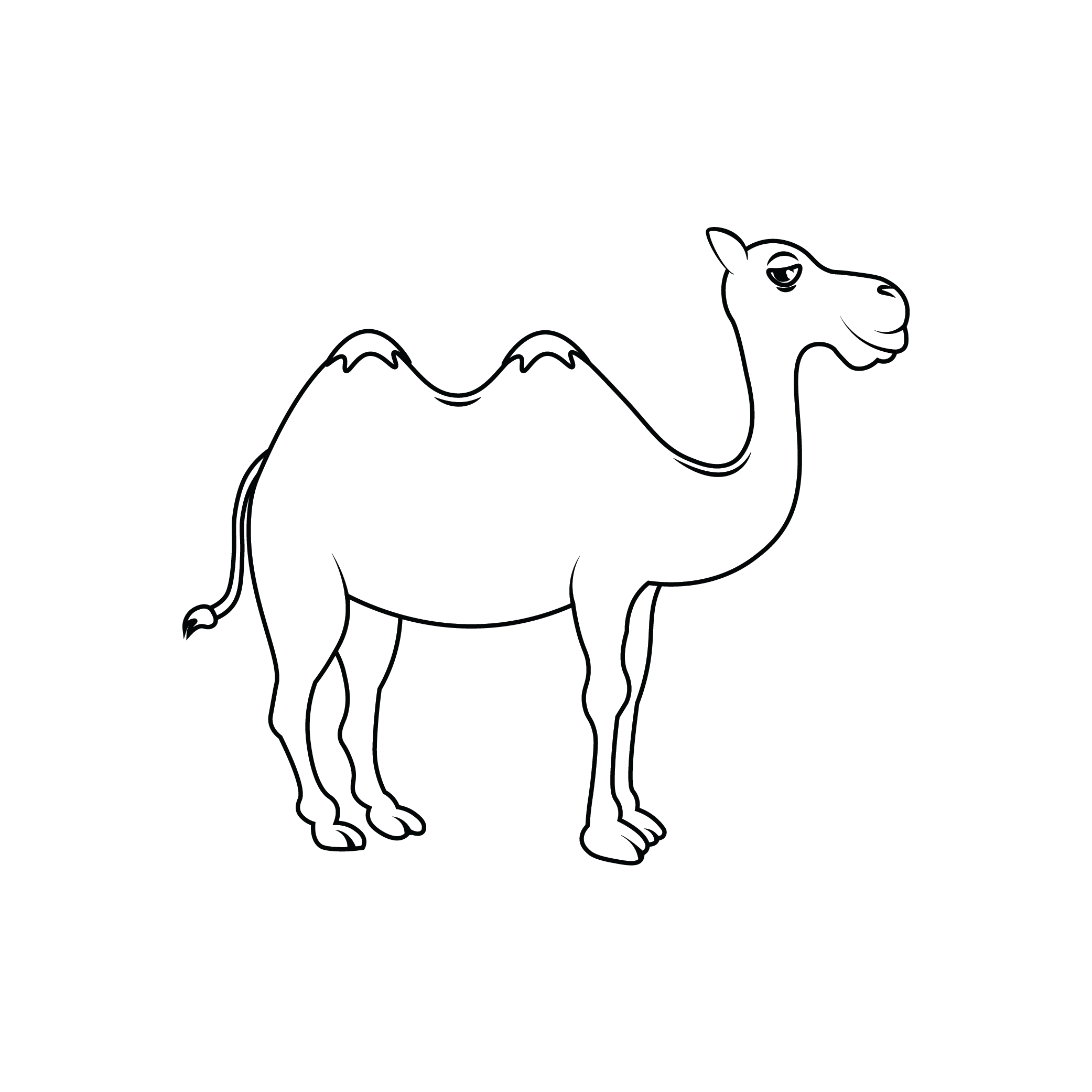 How to Draw A Camel Step by Step Step  8