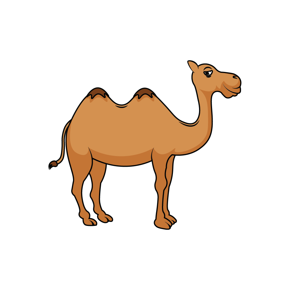 How to Draw A Camel Step by Step Step  9
