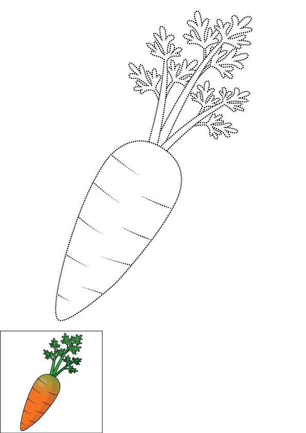 How to Draw A Carrot Step by Step Printable Dotted