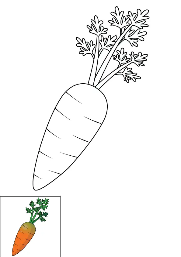 How to Draw A Carrot Step by Step Printable Color