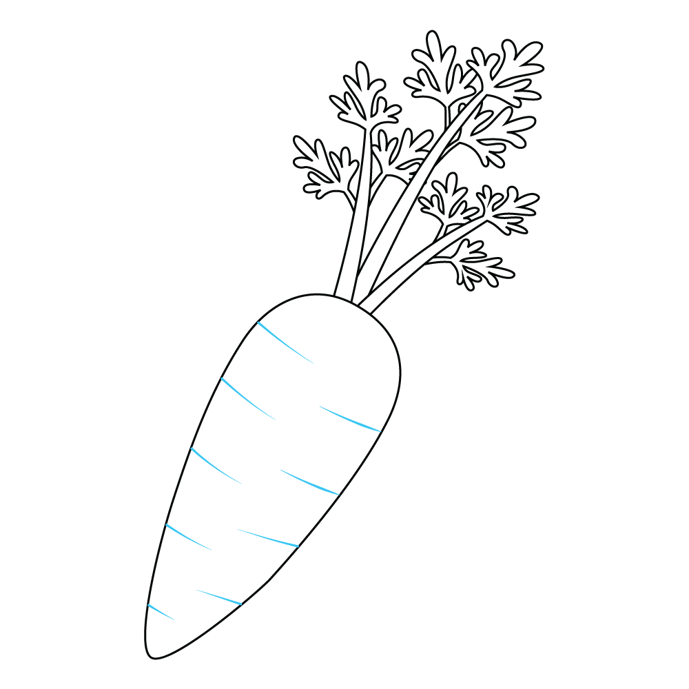 How to Draw A Carrot Step by Step Step  10