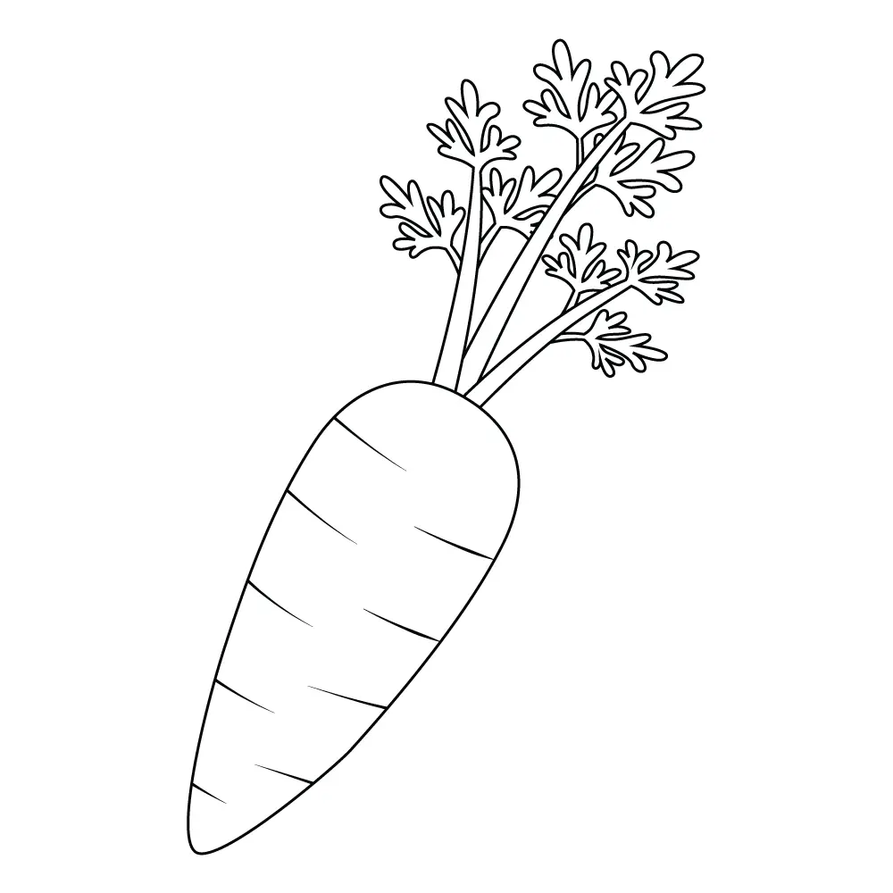 How to Draw A Carrot Step by Step Step  11