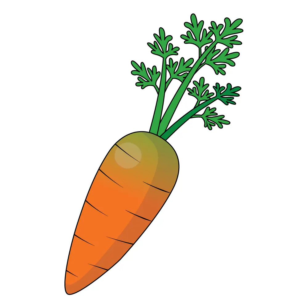 How to Draw A Carrot Step by Step Step  12