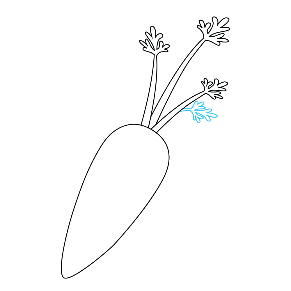 How to Draw A Carrot Step by Step Step  6