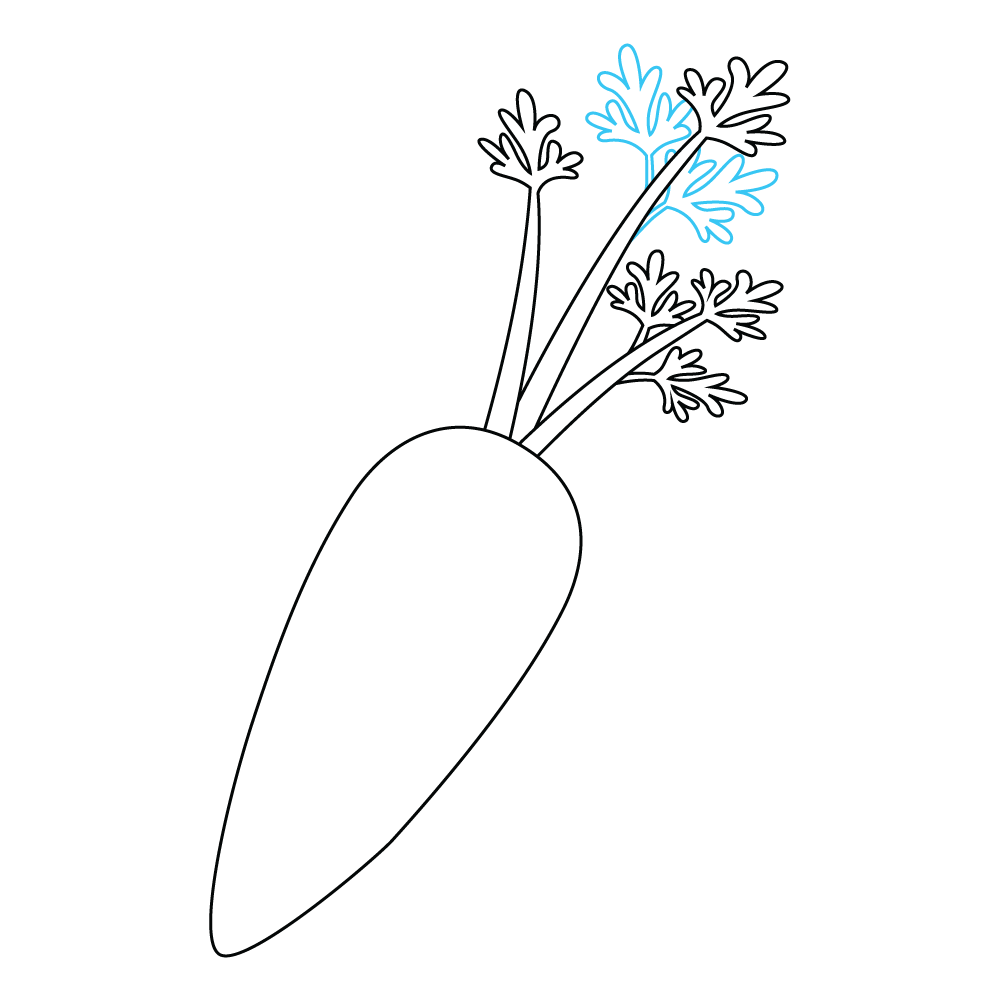 How to Draw A Carrot Step by Step Step  8
