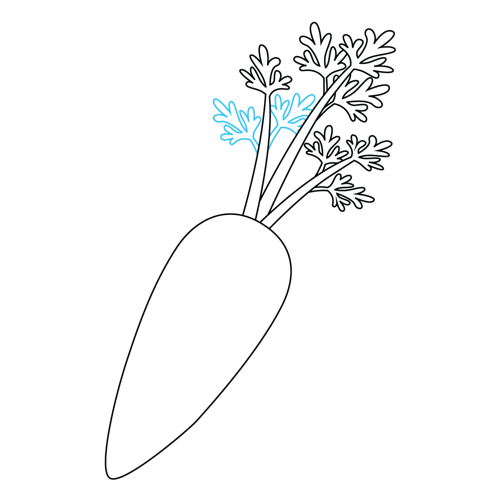 How to Draw A Carrot Step by Step Step  9
